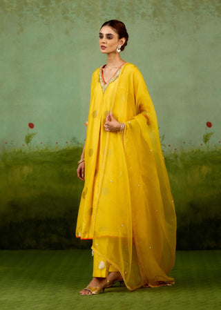Vibrant yellow kurta set
