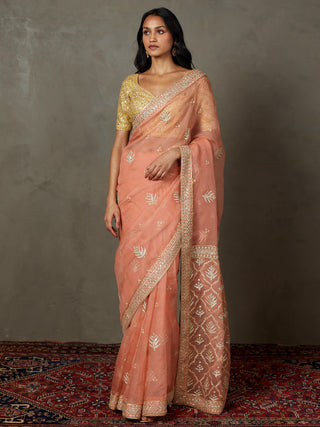 Ri.Ritu Kumar-Coral Sterling Sari And Stitched Blouse-INDIASPOPUP.COM