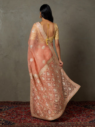 Ri.Ritu Kumar-Coral Sterling Sari And Stitched Blouse-INDIASPOPUP.COM