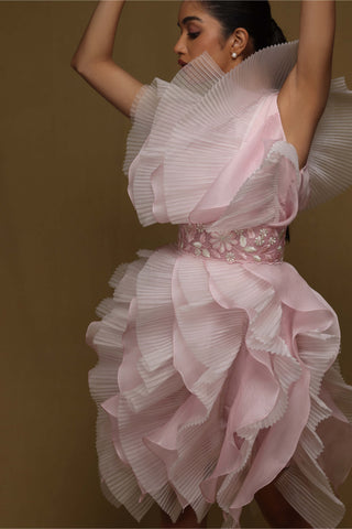 Shriya Som-Pink Textured Ruffle Dress With Belt-INDIASPOPUP.COM
