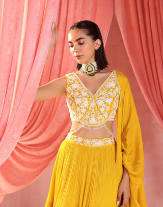 Seema Thukral-Rita Mustard Yellow Lehenga Set-INDIASPOPUP.COM