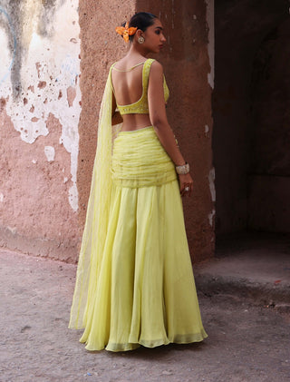 Mahi Neon Green Blouse And Circular Skirt by Seema Thukral available on Indiaspopup.com