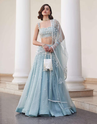 Powder blue organza skirt and bustier set