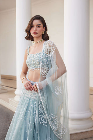 Powder blue organza skirt and bustier set