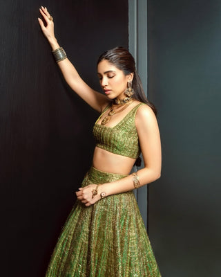 Pushp lampi green lehenga set