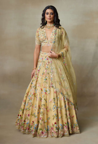 Sunshine haldi lehenga set