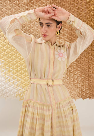 Multi-stripe button-down dress