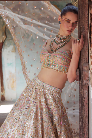 Tamanna Punjabi Kapoor-Ivory Net Foil Resham Embroidered Lehenga Set-INDIASPOPUP.COM