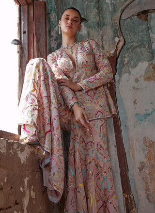 Tamanna Punjabi Kapoor-Light Pink Georgette Pelum Kurta And Sharara-INDIASPOPUP.COM