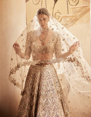 Champagne Rawsilk Mirror Lehenga Set by Tamanna Punjabi Kapoor available on Indiaspopup.com