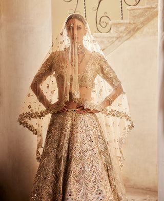 Champagne Rawsilk Mirror Lehenga Set by Tamanna Punjabi Kapoor available on Indiaspopup.com