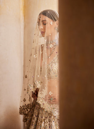 Champagne Rawsilk Mirror Lehenga Set by Tamanna Punjabi Kapoor available on Indiaspopup.com