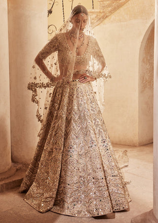 Champagne rawsilk mirror lehenga set