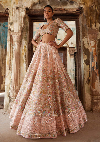 Tamanna Punjabi Kapoor-Peach Net Embroidered Lehenga Set-INDIASPOPUP.COM