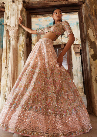 Tamanna Punjabi Kapoor-Peach Net Embroidered Lehenga Set-INDIASPOPUP.COM