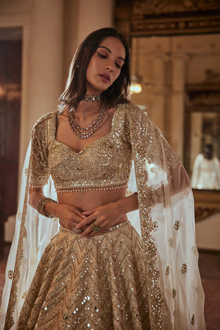 Cream Gold Highlight Lehenga Set by Tamanna Punjabi Kapoor available on Indiaspopup.com