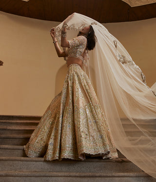 Ivory Multi Embroidered Lehenga Set by Tamanna Punjabi Kapoor available on Indiaspopup.com