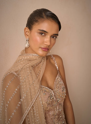 Biscuit brown tulle strappy gharara set