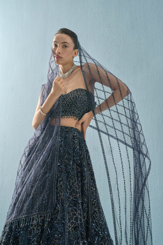 Navy blue tulle lehenga set