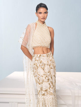 Ivory georgette fit and flare lehenga set