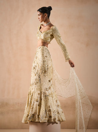 Ivory georgette fit and flare lehenga set