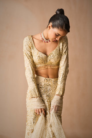 Ivory georgette fit and flare lehenga set