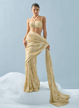 Ivory georgette sparkle sari set