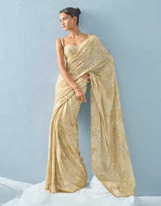 Ivory georgette sparkle sari set