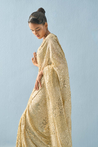 Ivory georgette sparkle sari set