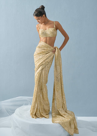 Ivory georgette sparkle sari set