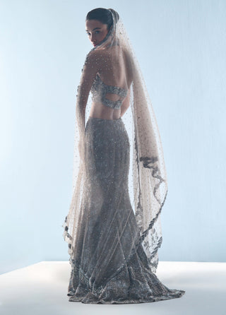 Gray tulle fit and flare lehenga set