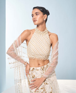 Ivory georgette fit and flare lehenga set