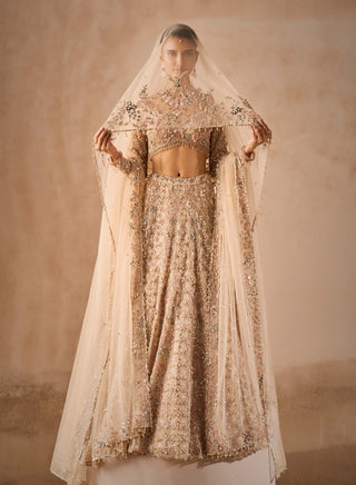 Beige nude tulle lehenga set