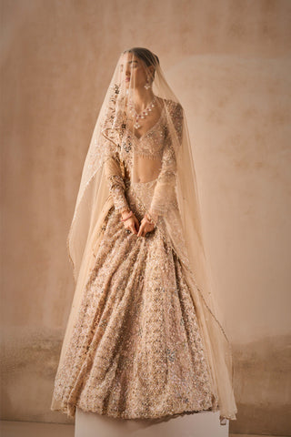 Beige nude tulle lehenga set