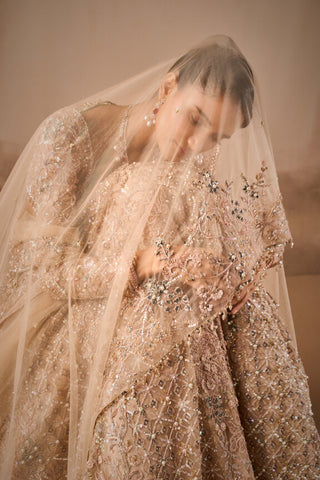 Beige nude tulle lehenga set