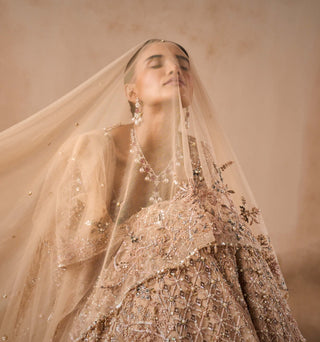 Beige nude tulle lehenga set