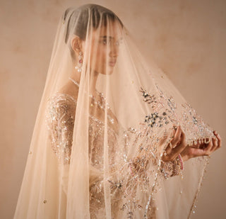 Beige nude tulle lehenga set