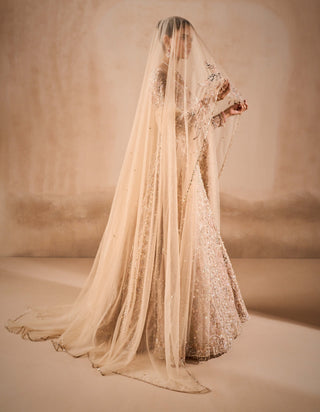 Beige nude tulle lehenga set