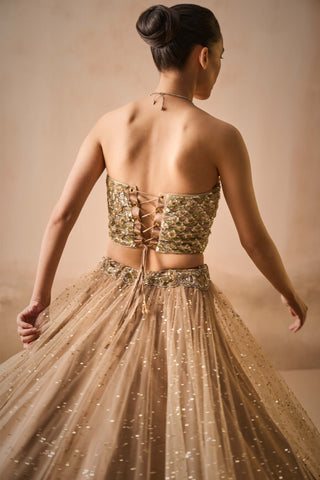 Biscuit brown lehenga and corset set