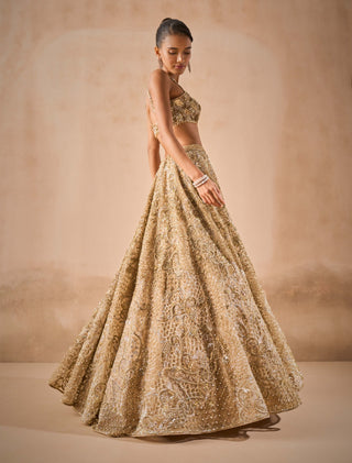 Beige gold tulle sparkle lehenga set