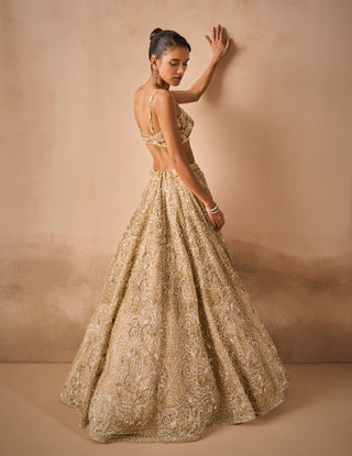 Beige gold tulle sparkle lehenga set