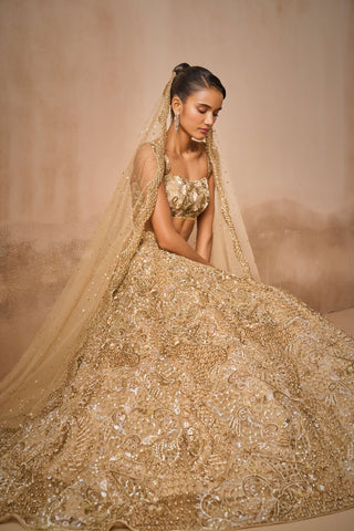 Beige gold tulle sparkle lehenga set