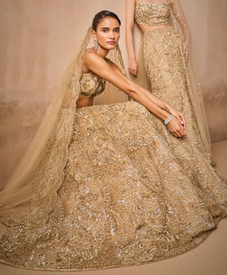 Beige gold tulle sparkle lehenga set