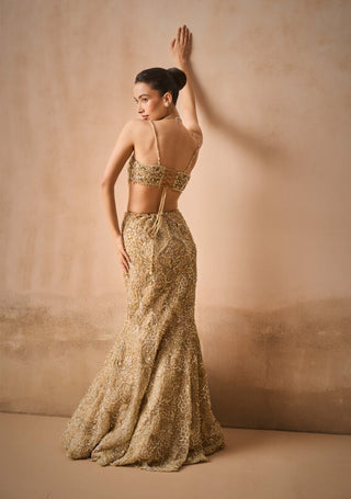 Beige gold sparkle tulle fit and flare lehenga set
