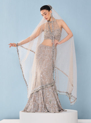 Gray tulle fit and flare lehenga set