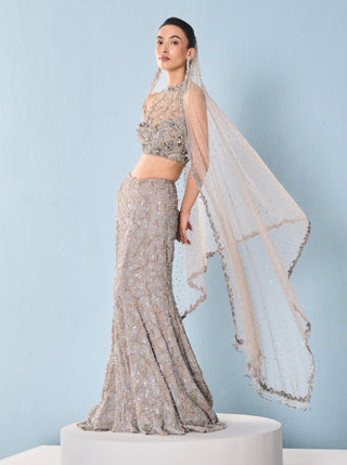 Gray tulle fit and flare lehenga set