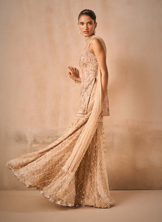 Biscuit brown tulle strappy gharara set