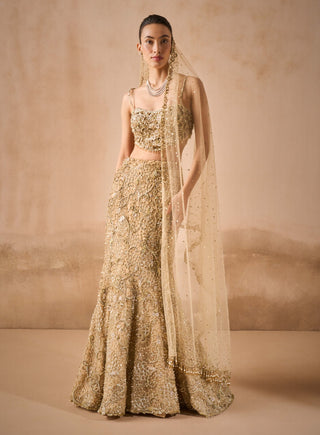 Beige gold sparkle tulle fit and flare lehenga set