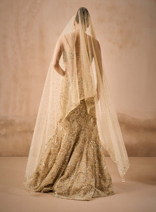 Beige gold sparkle tulle fit and flare lehenga set