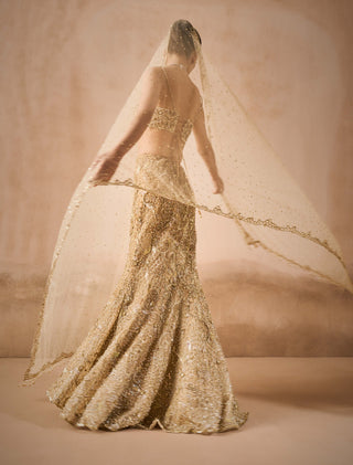 Beige gold sparkle tulle fit and flare lehenga set